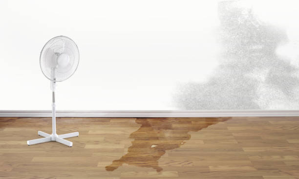Best Professional water damage repair  in Waupun, WI