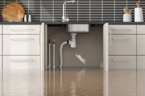 Best Water damage restoration near me  in Waupun, WI