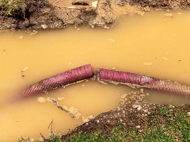 Best Mold removal after water damage  in Waupun, WI