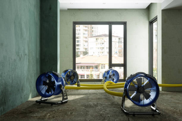 Best Basement water damage restoration  in Waupun, WI